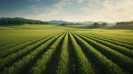 Foto op Plexiglas Green meadow meanders into wheat field horizon (6) © Marcus