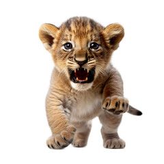 Fototapeta na wymiar lion cub playing , isolated on transparent background cutout , generative ai