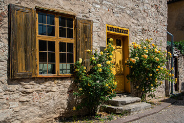 Fototapeta na wymiar The yellow rose door