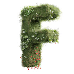 letter f made of grass