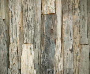 Old wood texture background coming from natural tree
