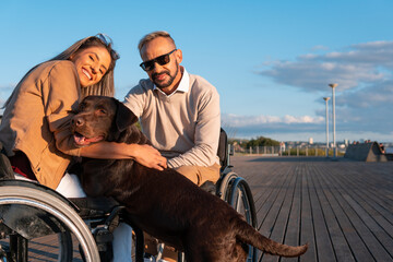 Couple portrait. Happy woman in wheelchair with labrador retriever taking dog for a walk outdoors