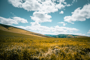 Country Field in the Hills