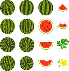 vector whole watermelon and slices