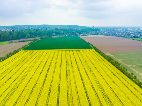 Aerial view of rapeseed field and other cropland in front of city Kleve, Nordrhein-Westfalen, Germany.