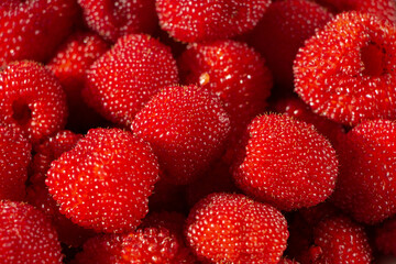 Rubus rosaefolius. Red barry. Miao miao. 