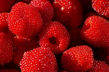 Rubus rosaefolius. Red barry. Miao miao. 
