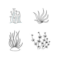 Set outline seaweed. Vector icon alga. Concept the world day ocean, sea plants.