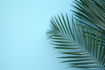 Background, palm leaves on a blue background, empty space on the left. AI generative.