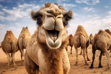 Papier Peint photo Maroc Camel in desert, funny portrait. Generative ai image
