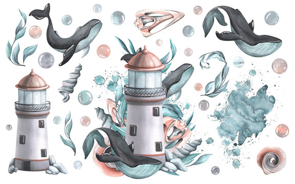 A marine lighthouse with whales, algae and shells, bubbles. Watercolor illustration hand drawn. Set isolated elements on a white background