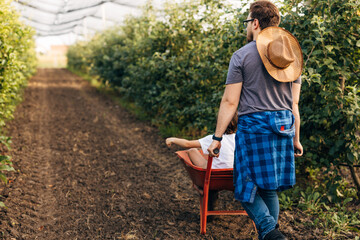 Back view of a farmer walking trough orchard and pushing his son in the cart.