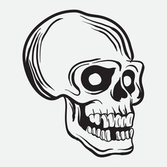 human skull art vector illustration, line art of skull of human, hand drawn skull