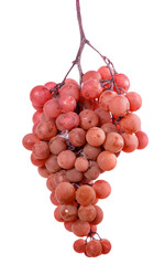 bunch of ripe orange grapes. on a white background