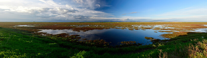 Salt marshes in the Axios Delta National park , Greece // Salzwiesen im Nationalpark Axios-Delta, Griechenland