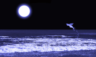 Mar azul y pez volador