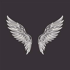 Fototapeta na wymiar Vector Wings Icon. Vintage Angel Wings Icon, Design Template, Clipart. Cupid, Angel or Bird Wings. Vector illustration
