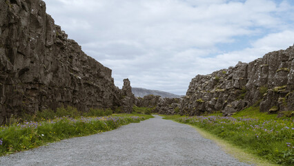 Fototapeta na wymiar Beautiful nature in Iceland. Scenic Icelandic landscape at cloudy day. Hiking path in hollow between the stone rocks called Dead man walk.