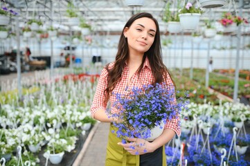 Pretty female gardener taking care of plants in her flowers and plants shop - woman working in a...