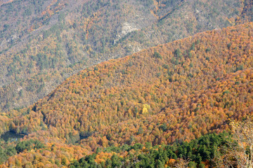 Yedigoller in Bolu, Turkey.