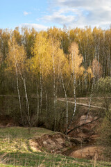 Moscow. The verdant slopes of the Konkovsky stream of the Bitsevsky forest
