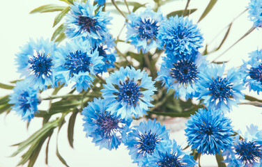 Cornflower blue flowers bouquet, abstract card with beautiful botanical background