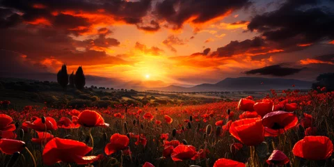 Fotobehang Donkerrood Lest We Forget: Sunset Tribute with Poppy Field and WW2 Planes on Remembrance Day