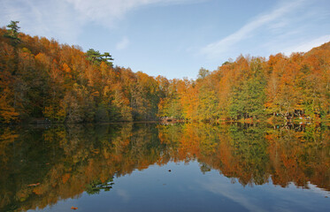 Yedigoller National Park, located in Bolu, Turkey, becomes colorful in autumn.