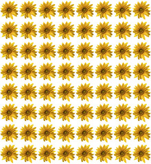 seamless pattern with sunflowers
