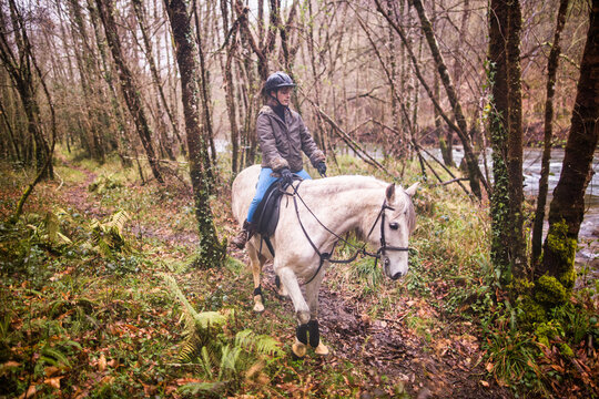 Horse riding, Way of st James in Fragas do Eume, Galicia. Hispanic woman pilgrim equitation