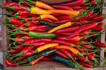 Fototapete Scharfe Chili-pfeffer Fresh ripe red, orange, yellow hot chili paprika pepper close up