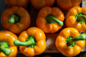 Fresh ripe yellow sweet bell paprika close up