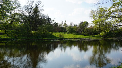 Fototapeta na wymiar Pond in the park