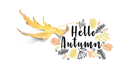 Banner with text HELLO AUTUMN and fallen leaf