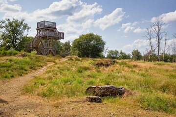 Wooden lookout tower on heathlands in the De Meinweg National Park, part of the Maas-Schwalm-Nette Park, Limburg region, the Netherlands