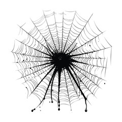 Obraz premium Spider web cobweb silhouette