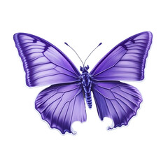 Obraz premium Flutter into Style: 3D Butterfly Clipart Sticker for Wall Decor & More