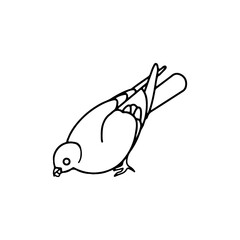 vector illustration of a dove