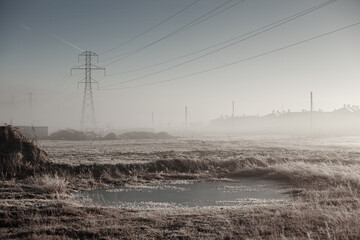 Power lines in winter