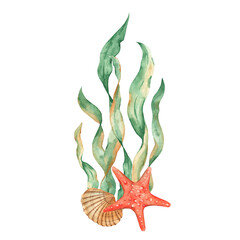 Underwater composition of seaweeds, red starfish and seashell. Watercolor illustration. For cards, posters, menu, marine beach design.