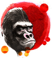 Mad gorilla face. Hand-drawn ink and watercolor sketch with splatters
