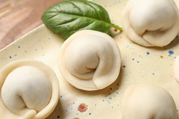 Plate with uncooked dumplings on table, closeup