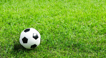 Fototapeta na wymiar classic soccer ball on a grass