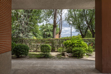 Views of an urban garden between