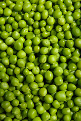 Background of fresh organic sweet green peas, pea grains close-up, top view.