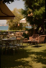 Sea cafe in the open air near the sea surrounded by coniferous trees
