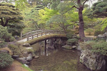 japanese garden