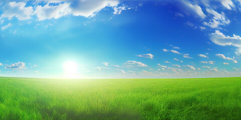 Fototapeta na wymiar A beautiful natural landscape for a background or screensaver - juicy bright green grass and a blue sky above it on a sunny day. Generative AI