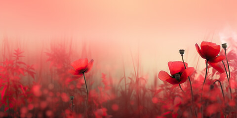 Poppies of Honor: Commemorating Sacrifice and Gratitude on November 11th, Remembrance Day. 