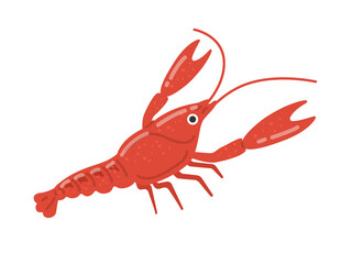 アメリカザリガニのイラスト